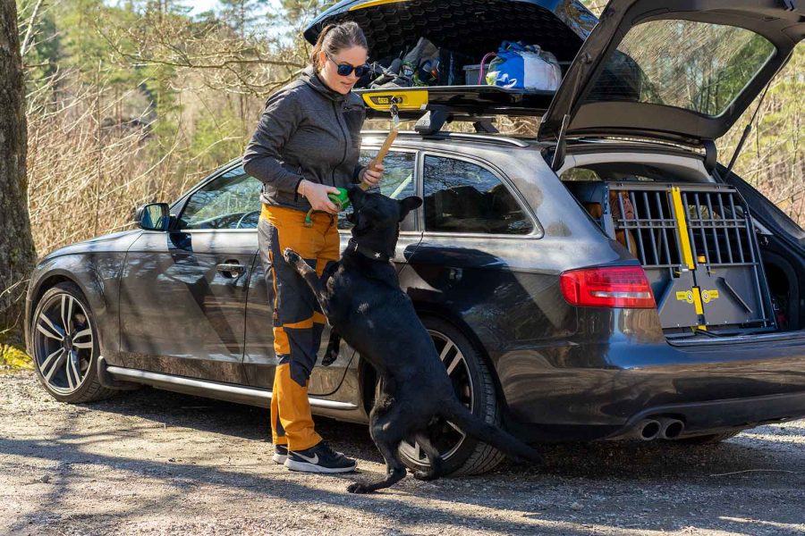 Bil utrustad med både VarioCage Hundbur och Carrier Takbox