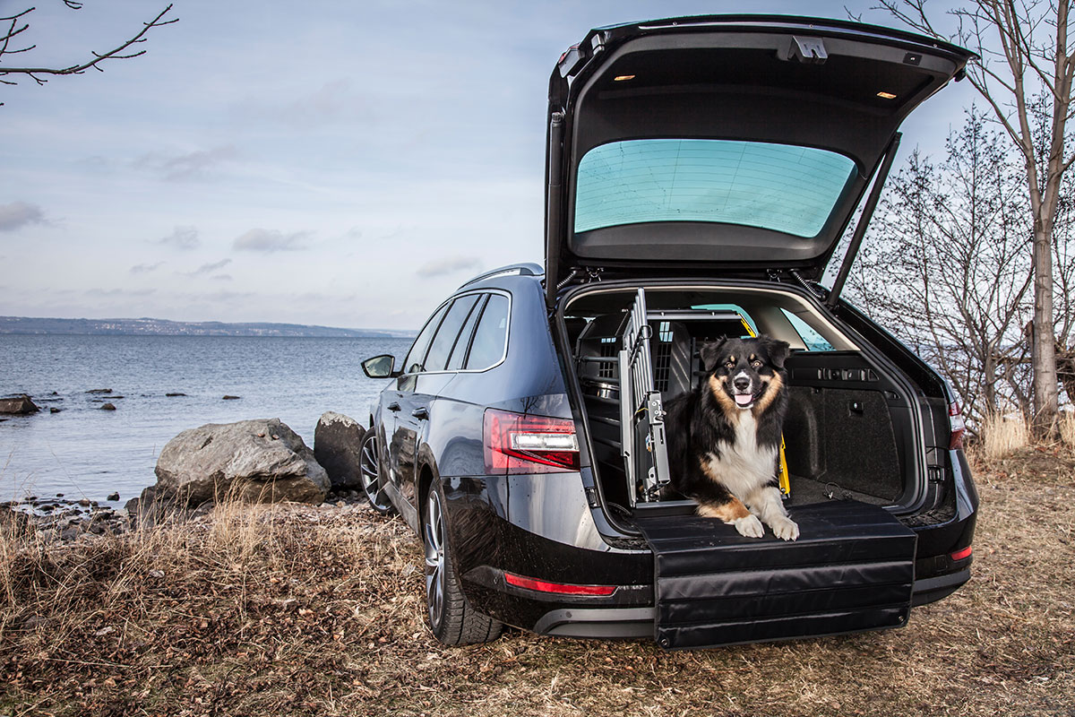 Bilbur MIM safe VarioCage med nöjd hund i en Skoda Superb