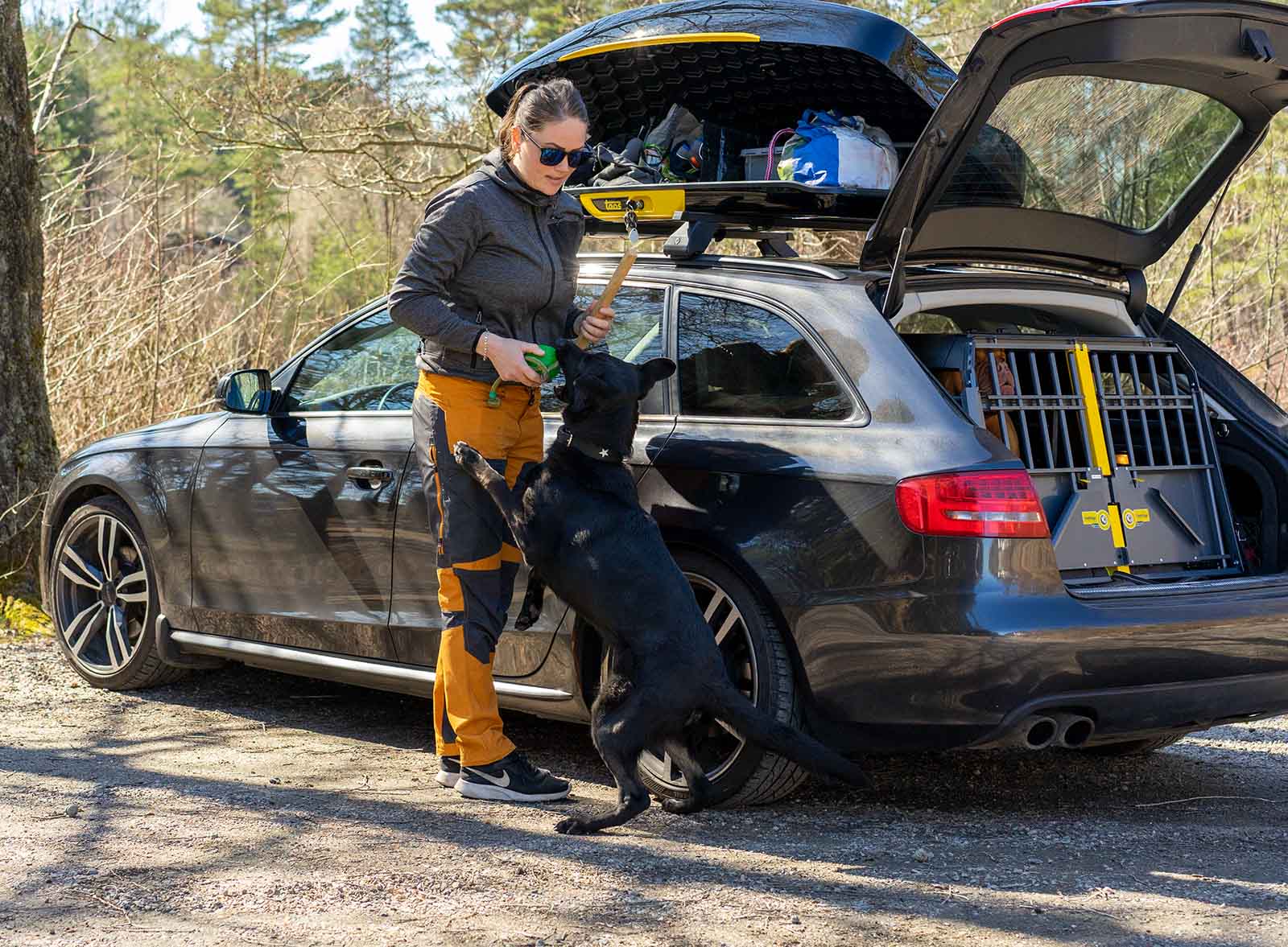 Bil utrustad med både VarioCage Hundbur och Carrier Takbox