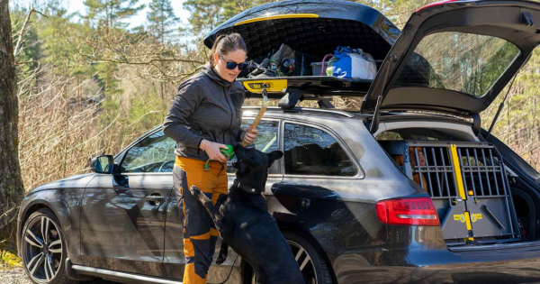 Carrier Krocksäker Bagagebox monerad på Audi A6