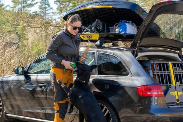 Carrier Krocksäker Bagagebox monerad på Audi A6